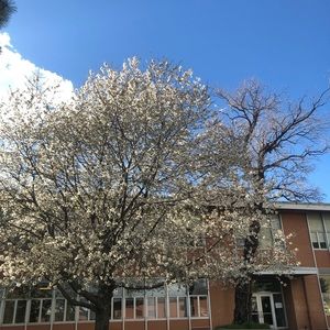 Meet your Posher, Serena